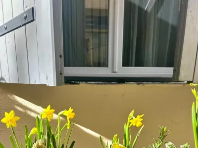 Plantes et décorations